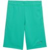 Spodenki dla dzieci Puma ESS Small No.1 Logo zielone 692974 40