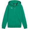 Bluza dla dzieci Puma teamGoal Casuals Hooded zielona 658596 05