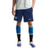 Spodenki męskie Nike Inter Milan Strike granatowe II2621 492