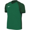 Koszulka dla dzieci Nike Dri-FIT Trophy VI zielona HV8158 302