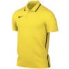 Koszulka męska Nike Dri-Fit Park 26 Polo żółta HM7136 719