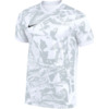 Koszulka męska Nike Dri-Fit Precision VII biała FZ9332 100