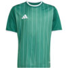 Koszulka dla dzieci adidas Entrada 26 Graphic Jersey zielona KE5072