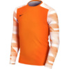 Bluza bramkarska dla dzieci Nike Dry Park IV JSY LS GK JUNIOR pomarańczowa CJ6072 819