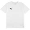 Koszulka dla dzieci Puma teamRISE Matchday biała 706284 04