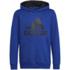 Bluza dla dzieci adidas Youth Essentials Hoodi niebieska HN1912