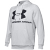 Bluza męska Under Armour Rival Fleece Logo Hoodie jasnoszara 1345628-014