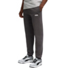 Spodnie męskie Puma ESS 2 Color No.1 Logo szare 684713 44