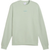 Bluza męska Puma ESS Small No.1 Logo zielona 692913 28