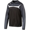 Bluza męska Puma Esito 3 Training Sweat czarno-szara 653967 03