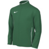 Bluza dla dzieci Nike Dri-Fit Park 26 zielona HM7256 302