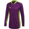 Bluza bramkarska adidas AdiPro 20 Goalkeeper Jersey Longsleeve fioletowa FI4194