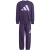 Dres dla dzieci adidas Essentials Joggers fioletowy JW2439