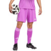Spodenki męskie adidas Tiro 24 fioletowe JI6089