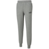 Spodnie męskie Puma ESS Logo Pants FL jasnoszare 586714 03