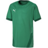 Koszulka dla dzieci Puma teamGOAL 23 Jersey zielona 704160 05