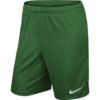 Spodenki męskie Nike Park II Knit Short NB zielone 725887 302  