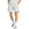 Spodenki męskie adidas Entrada 26 Sweat szare KF5922