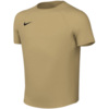 Koszulka dla dzieci Nike Dri-Fit Park VIII złota HV8182 729