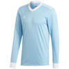 Koszulka męska adidas Tabela 18 Jersey LS błękitna CZ5460