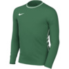 Koszulka dla dzieci Nike Dri-Fit Park 26 Crew Top zielona HM7170 302