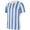 Koszulka męska Nike Striped Divisio IV JSY SS błękitno-biała CW3813 103