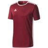 Koszulka dla dzieci adidas Entrada 18 Jersey JUNIOR bordowa CD8430/CE9564