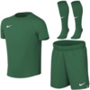 Komplet sportowy dla dzieci Nike Dri-Fit Park VIII zielony HV8260 302