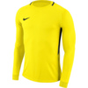 Bluza bramkarska dla dzieci Nike Dry Park Goalie III Jersey GK LS JUNIOR żółta 894516 741