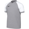 Koszulka dla dzieci Nike Dri-FIT Trophy VI szara HV8158 012