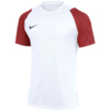 Koszulka męska Nike Dri-Fit Academy II biało-bordowa HV8160 102