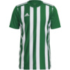 Koszulka męska adidas Striped 21 Jersey zielono-biała H35644