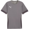 Koszulka męska Puma teamGoal Matchday Jersey szara 705747 13