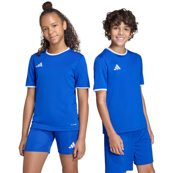 Koszulka dla dzieci adidas Entrada 26 Jersey niebieska JZ2531