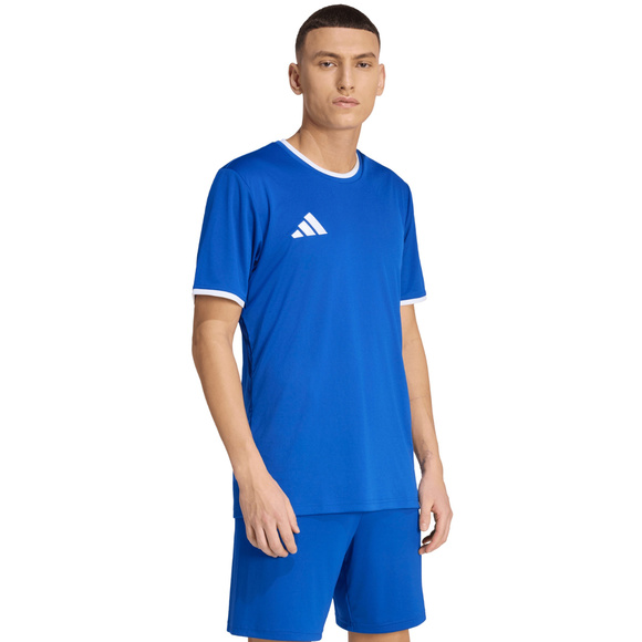 Koszulka męska adidas Entrada 26 Jersey niebieska JZ2506
