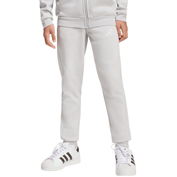 Spodnie dla dzieci adidas Entrada 26 Sweat Pants szare JZ9137