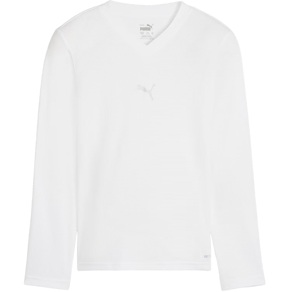Koszulka dla dzieci Puma TeamGOAL Baselayer Tee Longsleeve biała 659041 04
