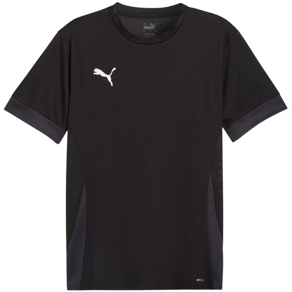 Koszulka męska Puma teamGoal Matchday Jersey czarna 705747 03