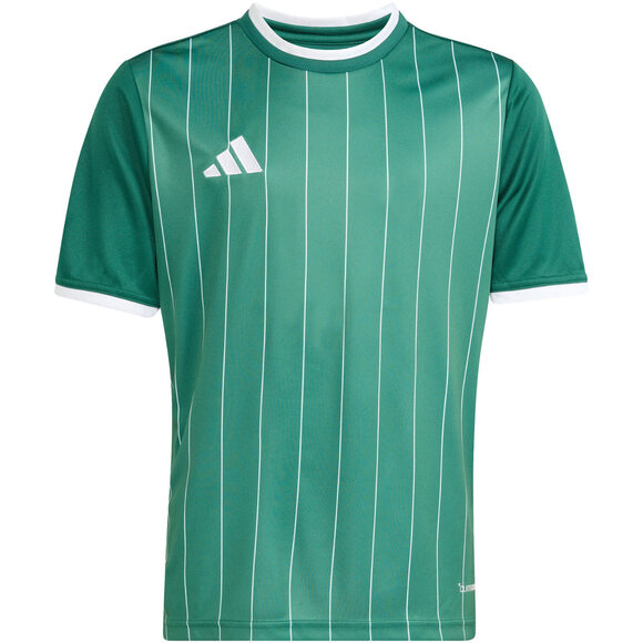 Koszulka dla dzieci adidas Entrada 26 Graphic Jersey zielona KE5072