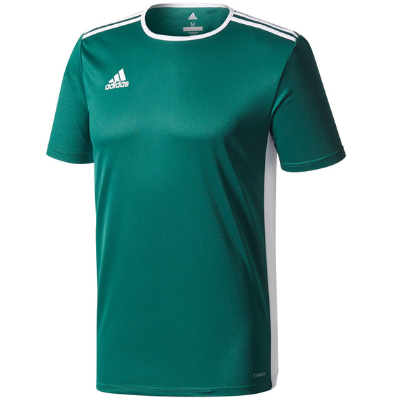 Koszulka dla dzieci adidas Entrada 18 Jersey JUNIOR zielona CD8358/CE9563