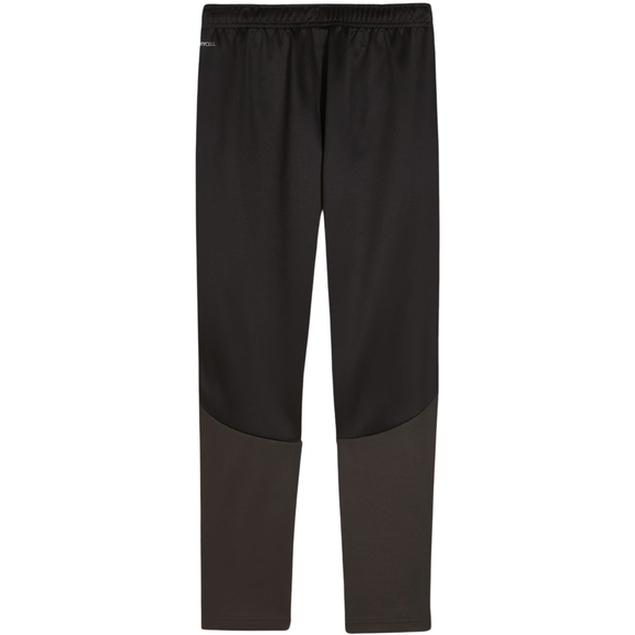 Spodnie dla dzieci Puma Team Goal Training czarne 658641 03