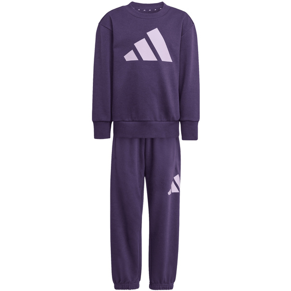 Dres dla dzieci adidas Essentials Joggers fioletowy JW2439