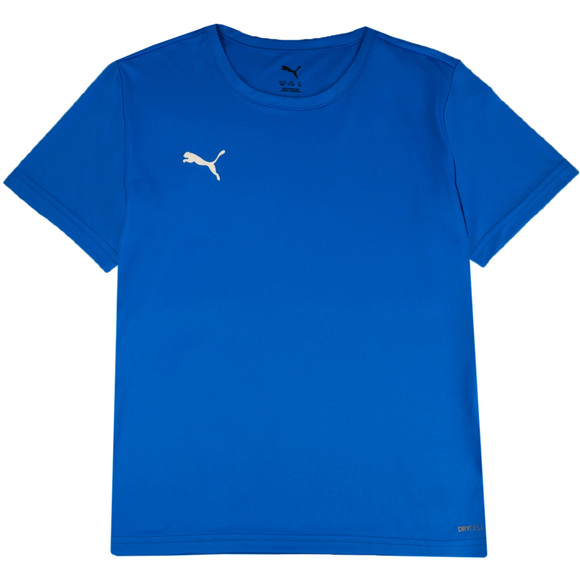 Koszulka dla dzieci Puma teamRISE Matchday niebieska 706284 02