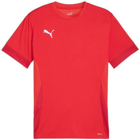 Koszulka męska Puma teamGoal Matchday Jersey czerwona 705747 01