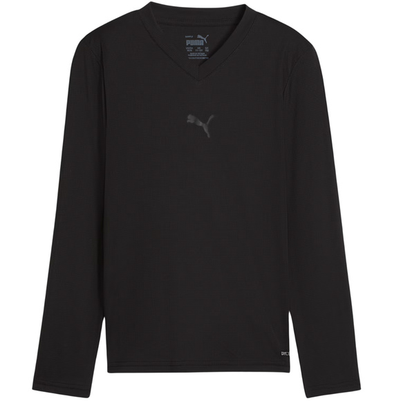 Koszulka dla dzieci Puma TeamGOAL Baselayer Tee Longsleeve czarna 659041 03