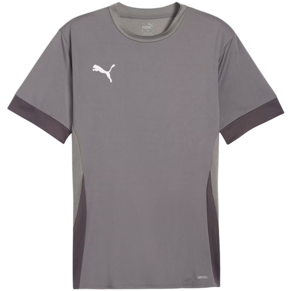 Koszulka męska Puma teamGoal Matchday Jersey szara 705747 13
