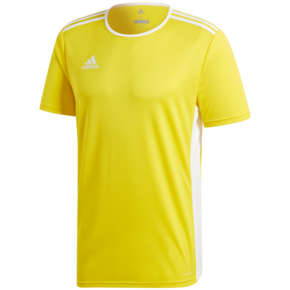 Koszulka dla dzieci adidas Entrada 18 Jersey JUNIOR żółta CD8390/CF1039
