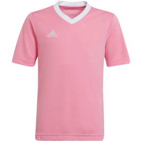 Koszulka dla dzieci adidas Entrada 22 Jersey różowa HC5055