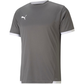 Koszulka męska Puma teamLIGA Jersey szara 704917 13