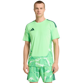 Koszulka męska adidas Tiro 26 Competition Goalkeeper Jersey zielona KC5353